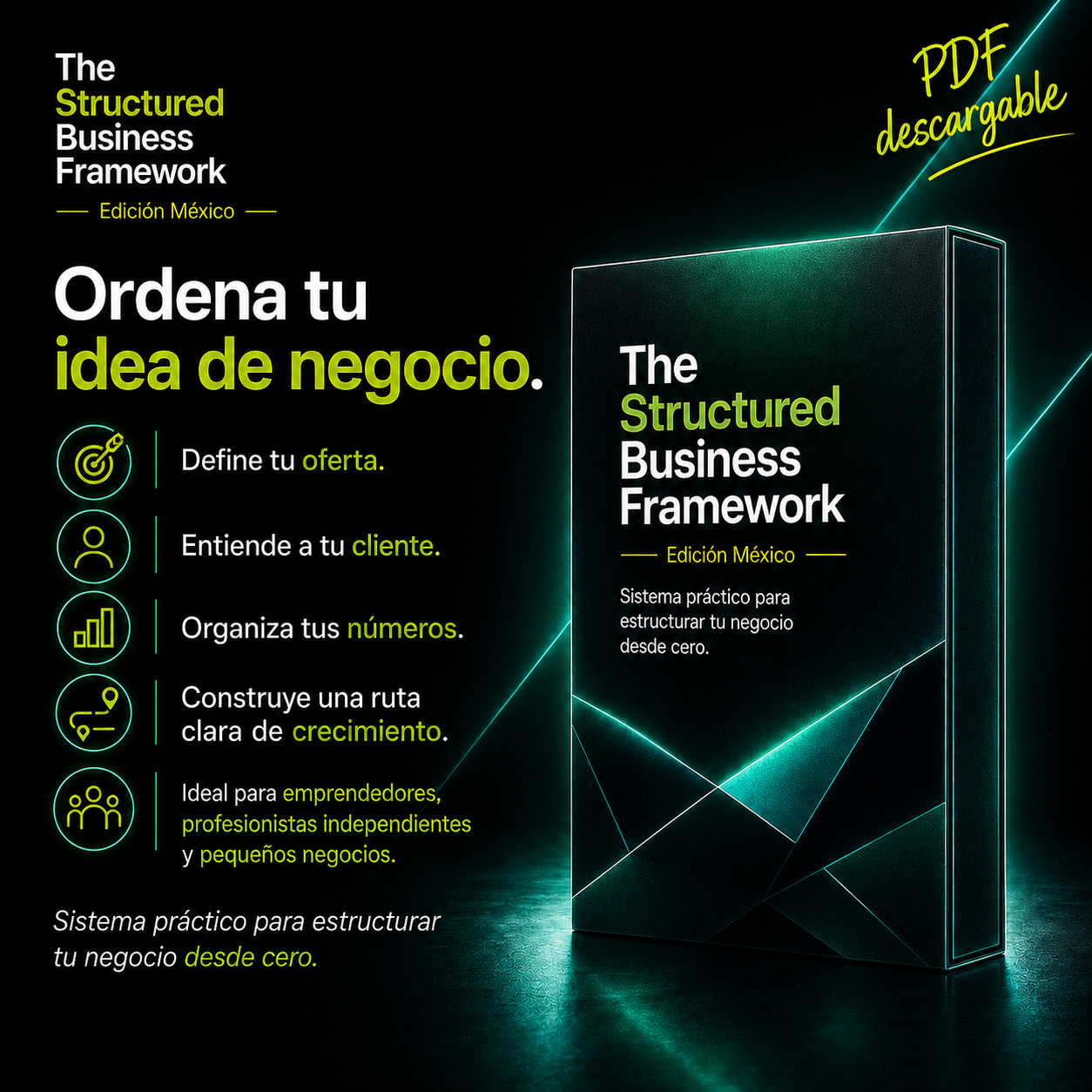 The_Structured_Business_Framework | Edición_México